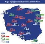 Mapka występowania żubrów w Polsce zubry_polska.jpg