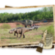 Nocne spotkania nie tylko z dinozaurami