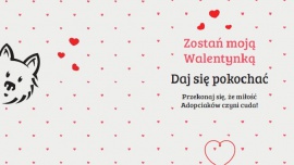 Daj się pokochać na Walentynki